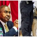 Each sniffer dog we buy costs $20,000 – NDLEA boss Marwa