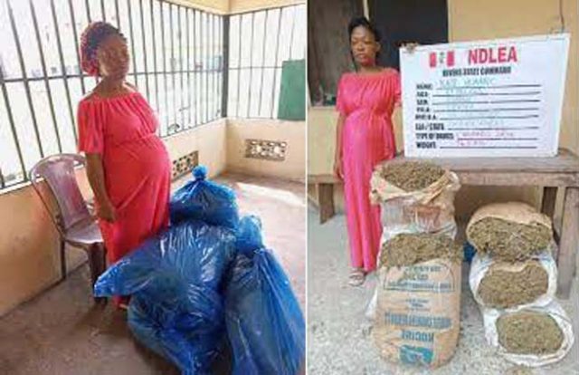 NDLEA arrests pregnant woman with 34.4kgs of cannabis in Rivers