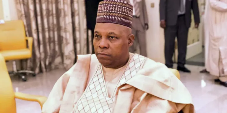 Rest assured that we will observe the rule of law in our administration — VP-elect, Kashim Shettima