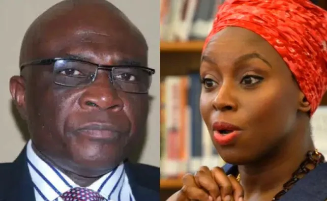 Trash Chimamanda's letter- Tinubu's media aide, Bayo Onanuga, tells Pres. Biden