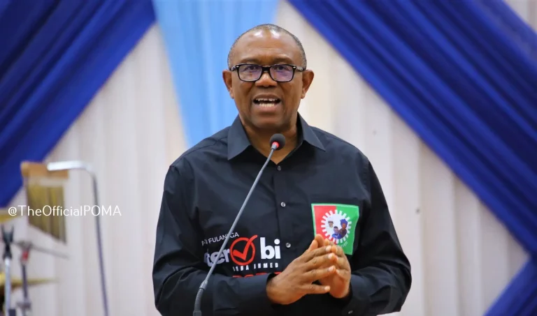 LP crisis: Let’s put our differences aside – Peter Obi to party members