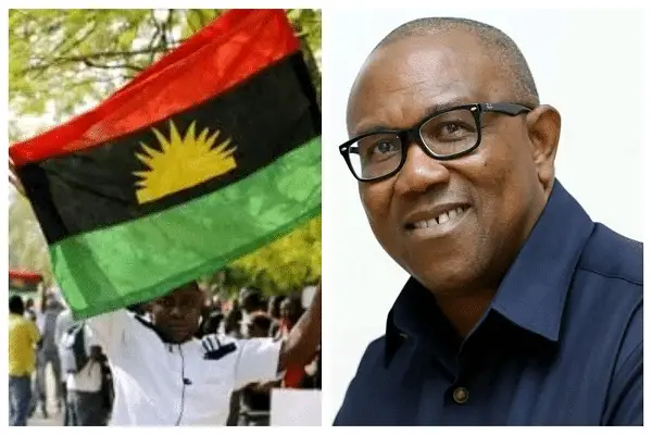 Anambra: Stop linking Peter Obi to US convoy attack, IPOB replies Police