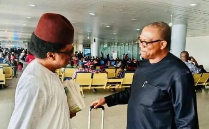 Stop Apologizing ‘You Will Destroy The Obidient Movement’ – Shehu Sani Warns Peter Obi