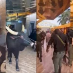 Eld-El-Kabir: Police React To Viral Video Of Seven Police Officers Escorting Civilian To Slaughter Cow [VIDEO]