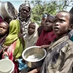 4.3 million Nigerians facing severe hunger in Northeast – UN official