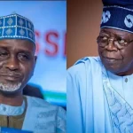 We don’t need Senate, Reps – Shekarau tells Tinubu