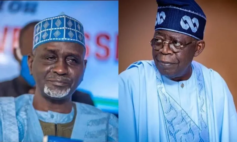 We don’t need Senate, Reps – Shekarau tells Tinubu