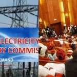 Allow Nigerians ‘Breathe’ - Senate Tells NERC, DisCos