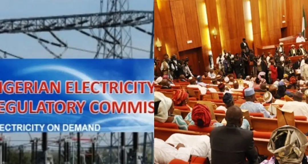 Allow Nigerians ‘Breathe’ - Senate Tells NERC, DisCos