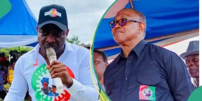 Bayelsa Guber: I’m Not Campaigning Under Peter Obi – LP Candidate