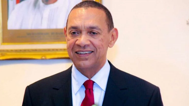 Nigeria must not go down because of event in Imo - Murray-Bruce