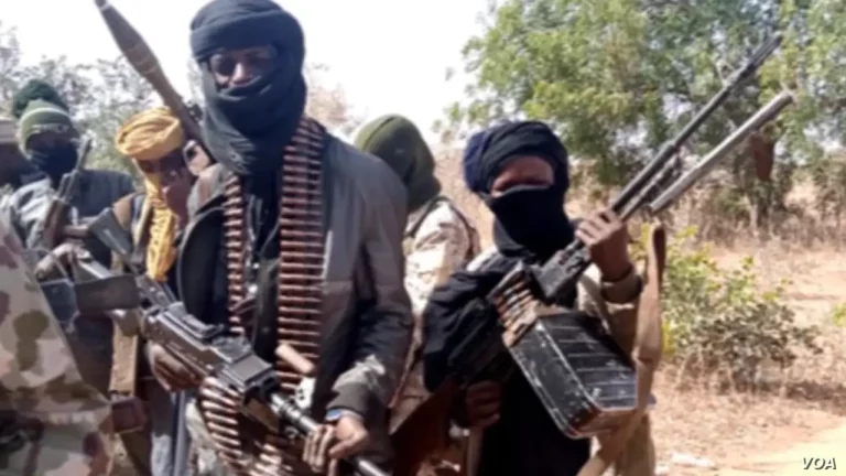 Bandits kill nine, abduct ex-CBN director, 34 others in Kaduna