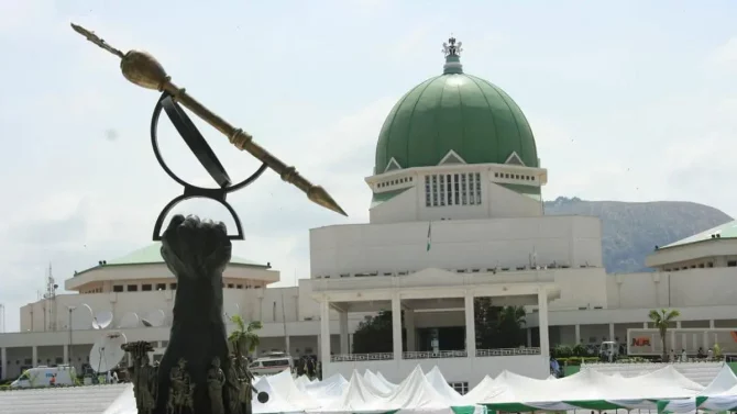 We’re fooling ourselves, Nigeria’s borders are open – N’assembly panel