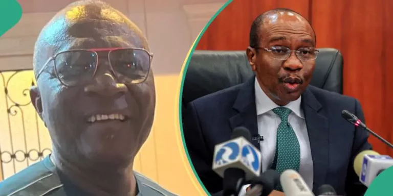 If he were in China, Emefiele would face firing squad - Bayo Onanuga