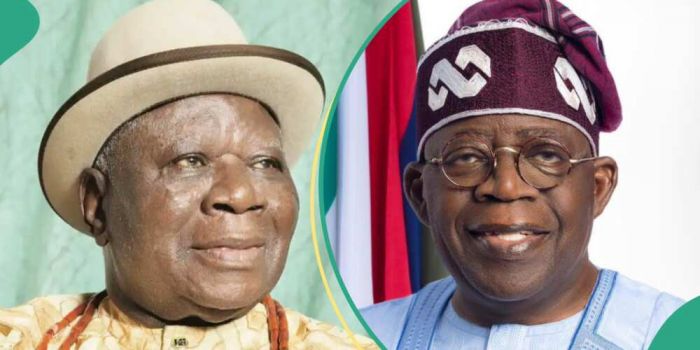 Niger Delta Ministry: Don’t Use South-South Money To Develop Other Regions – Edwin Clark Tells Tinubu