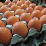 Eggs May Hits ₦10,000 Per Crate – Poultry Association Of Nigeria Warns