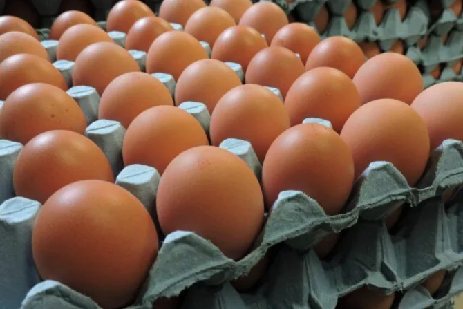 Eggs May Hits ₦10,000 Per Crate – Poultry Association Of Nigeria Warns