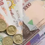 Naira among 10 worst performing currencies globally - Report