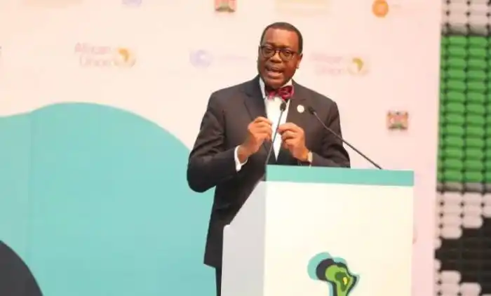 “Social unrest likely in Nigeria due to rising fuel and commodity prices” – AfDB warns