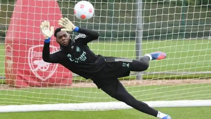 Super Eagles Of Nigeria Get New Goalkeeper, Arthur Okonkwo