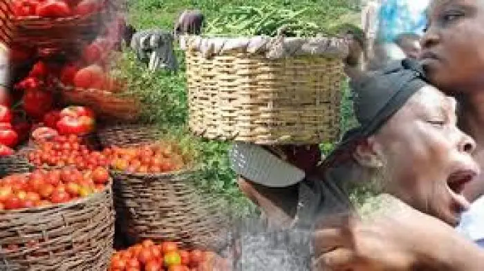 Yoruba market women lament hardship, high cost of food