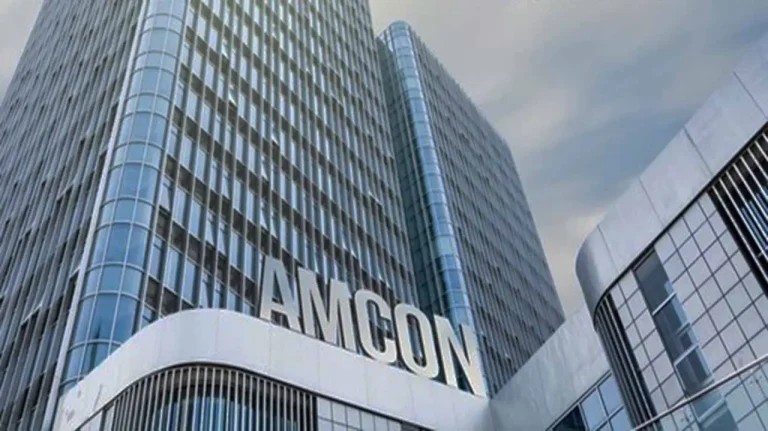 FG to sell DisCos managed by AMCON, banks in next three months