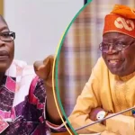 Minimum Wage: Ezekwesili Slams Tinubu, Akpabio Others Over Lavish Lifestyles