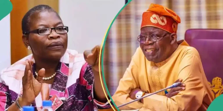 Minimum Wage: Ezekwesili Slams Tinubu, Akpabio Others Over Lavish Lifestyles