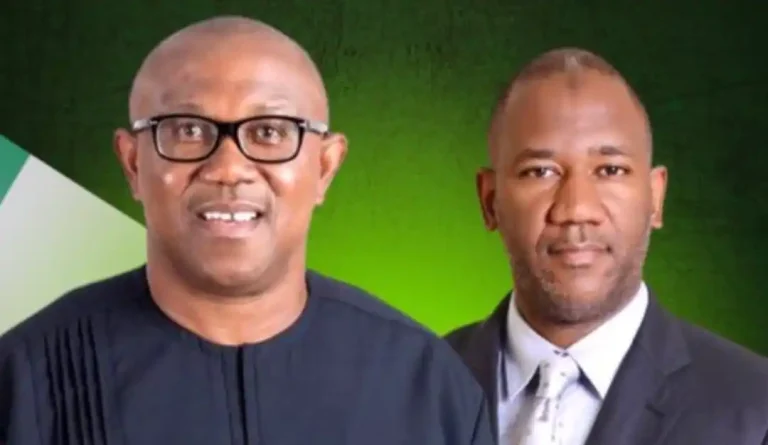 I won’t stop saying it, Peter Obi won 2023 elections – Baba-Ahmed