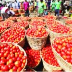 Why Price Of Tomatoes Surged By 130 Per Cent