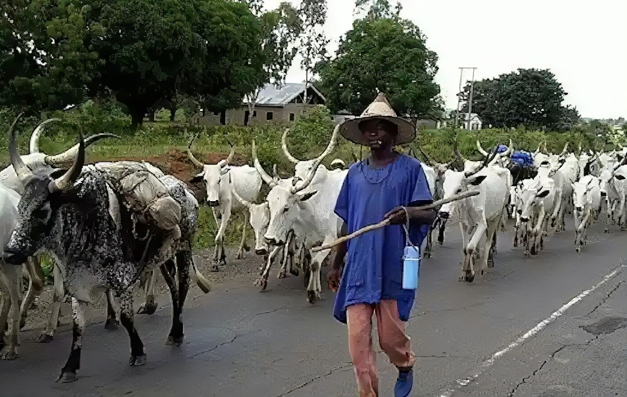 Ranches Commission bill will relocate Fulani herders to states of origin – Barau cries out