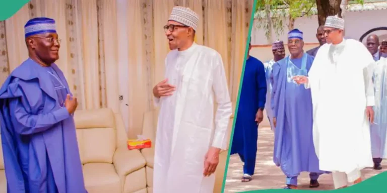 Days after meeting ex-Nigerian leaders, IBB, Abdulsalami, Atiku visits Buhari in Daura