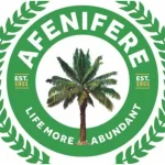 Save Nigeria from total collapse – Afenifere to FG