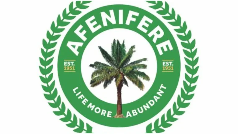 Save Nigeria from total collapse – Afenifere to FG