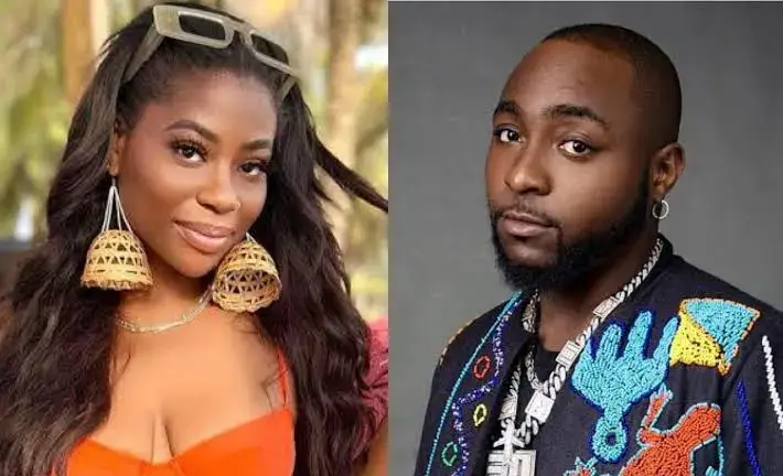 Davido: He visited only to have sex – Sophia Momodu tells court