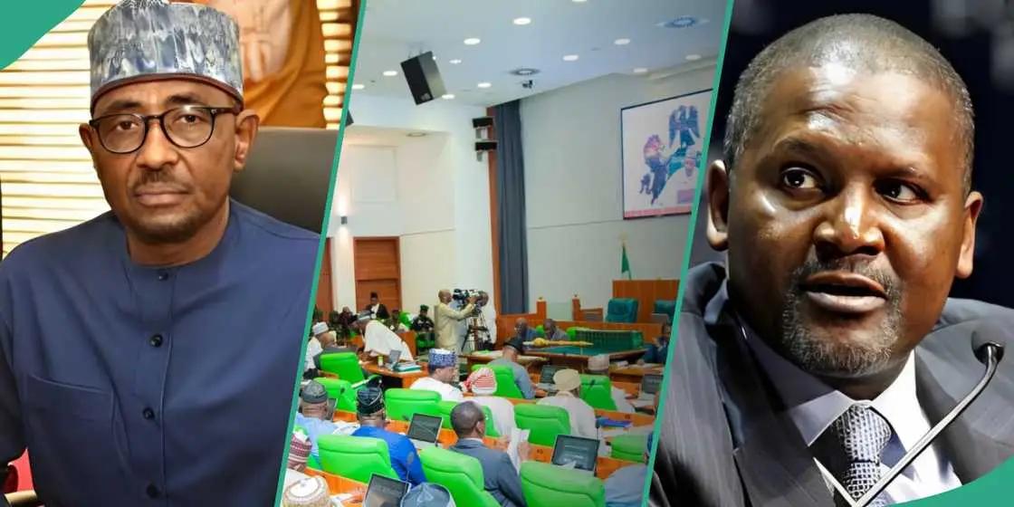 Reps ask FG to suspend NMDPRA CEO over ‘unguarded comments’ on Dangote refinery