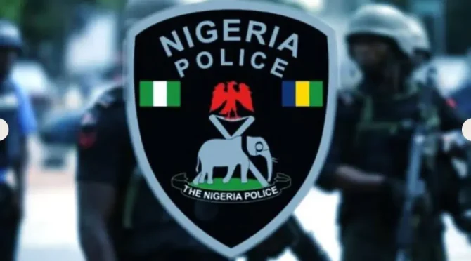 Over 90 Protesters arrested: Flying Russian flag in Nigeria capital offence - Police