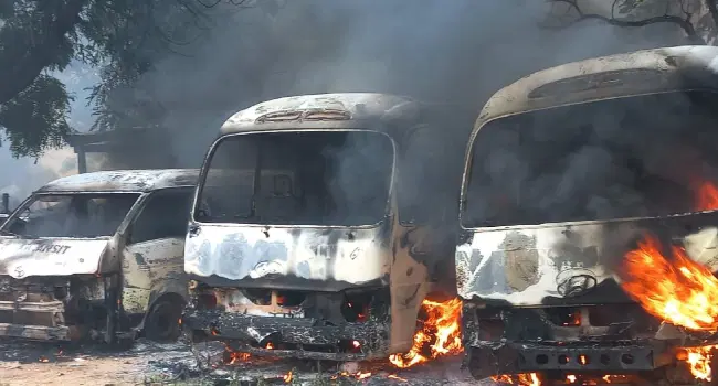 Protests: 14 killed as Yobe, Kano, Borno declare curfew