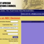 How To Check Your 2024/2025 WAEC Results