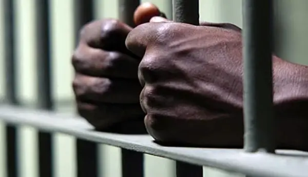 Stigmatisation forces freed inmates back to sprisons – Controller General NCS