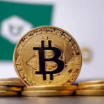 SEC approves Quidax and Busha as legally recognised crypto exchanges in Nigeria