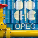 OPEC Discloses Reason Behind High Fuel Price In Nigeria