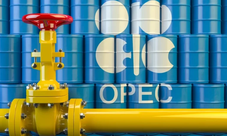 OPEC Discloses Reason Behind High Fuel Price In Nigeria