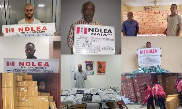 NDLEA Arrests Bizman At Kano Airport With Cocaine