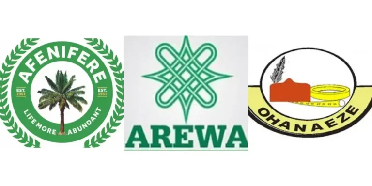  Ohanaeze, Afenifere, Arewa youths state positions  Controversial tax bills