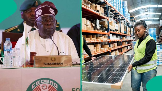 FG Moves to End N200bn Solar Panel Imports, Pushes for Local Production
