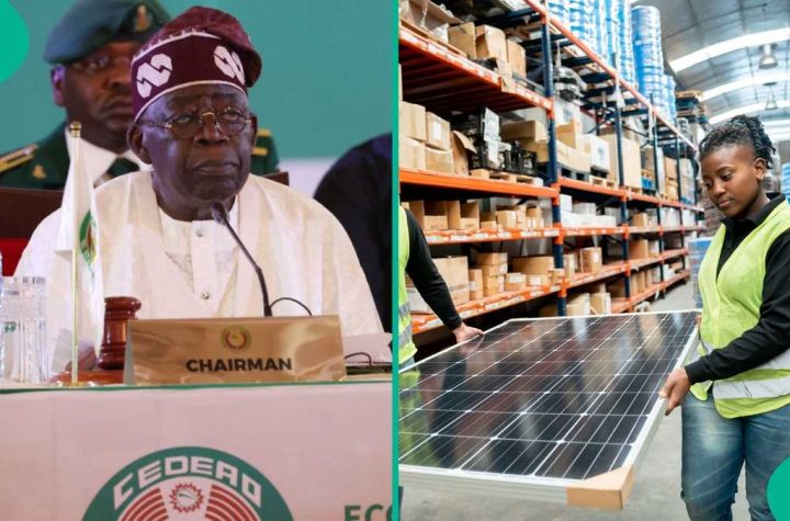 FG Moves to End N200bn Solar Panel Imports, Pushes for Local Production