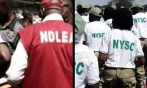 NDLEA Proposes Drug Integrity Tests for Corps Members, Couples