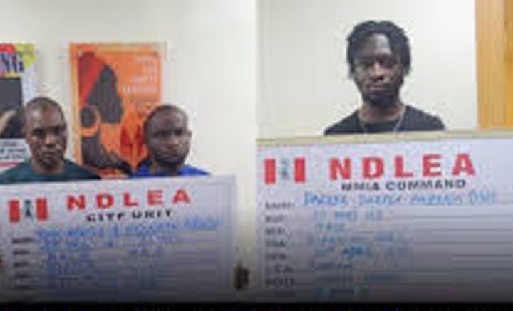 NDLEA Arrests Two Brothers with 5kg C+ca+ne, Nabs Ghanaian-British Student with 19.4kg C@nnab+s t Lagos Airport