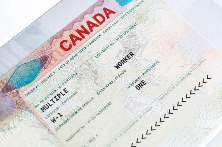 Top 6 in-demand jobs to secure a Canadian work visa